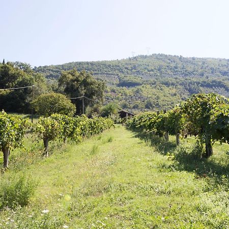 Agriturismo I Melograni Ferentillo Εξωτερικό φωτογραφία