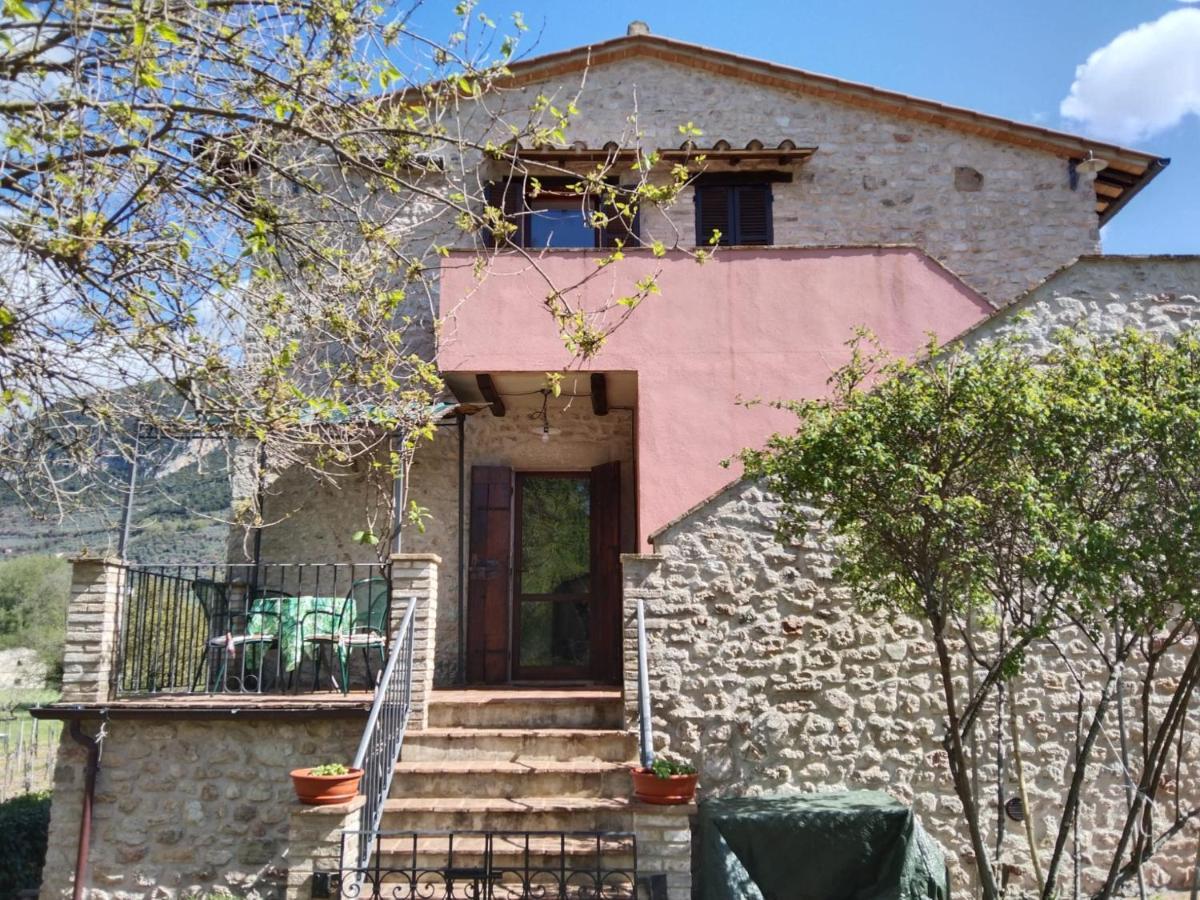Agriturismo I Melograni Ferentillo Εξωτερικό φωτογραφία