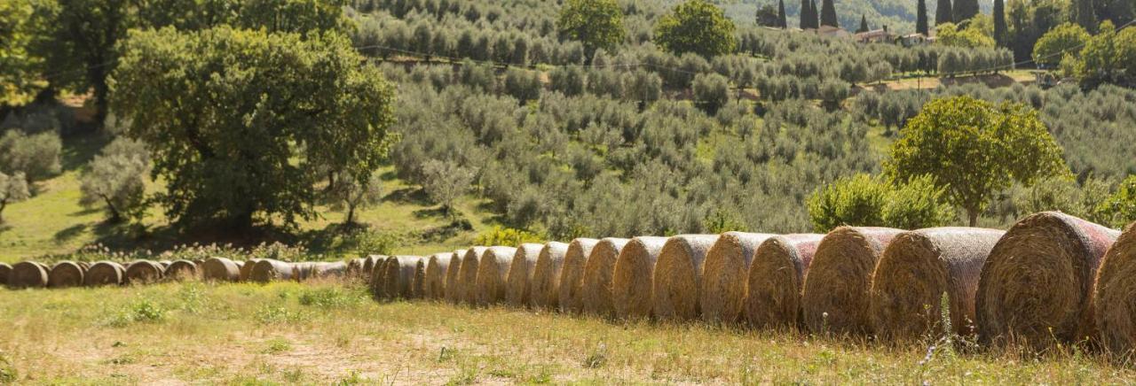 Agriturismo I Melograni Ferentillo Εξωτερικό φωτογραφία