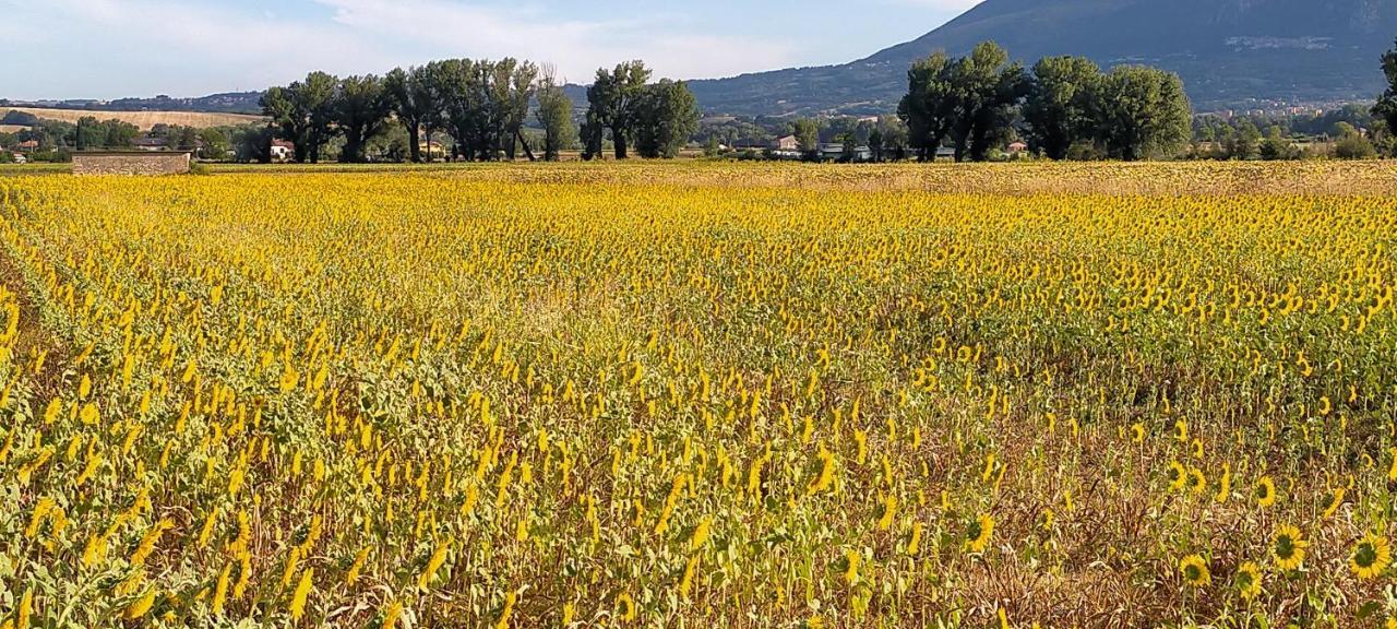 Agriturismo I Melograni Ferentillo Εξωτερικό φωτογραφία