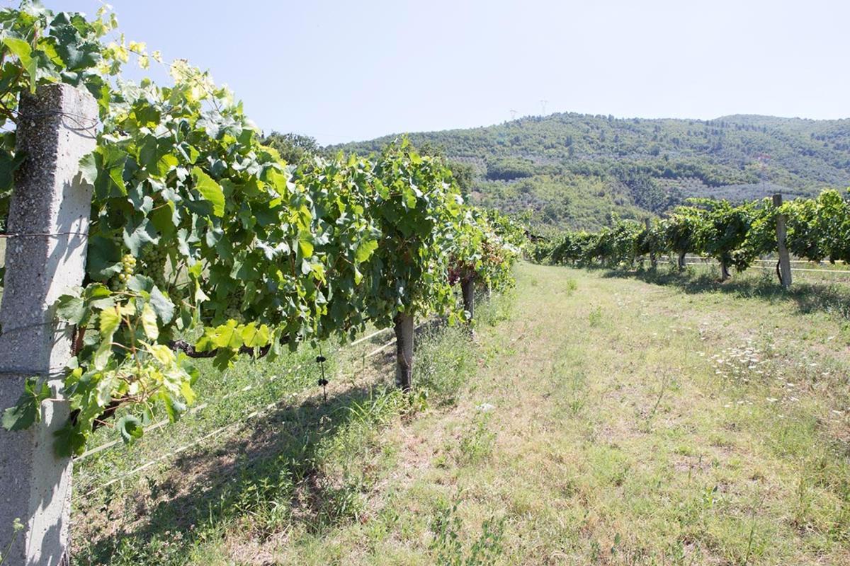 Agriturismo I Melograni Ferentillo Εξωτερικό φωτογραφία