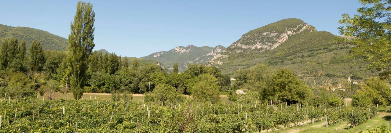 Agriturismo I Melograni Ferentillo Εξωτερικό φωτογραφία