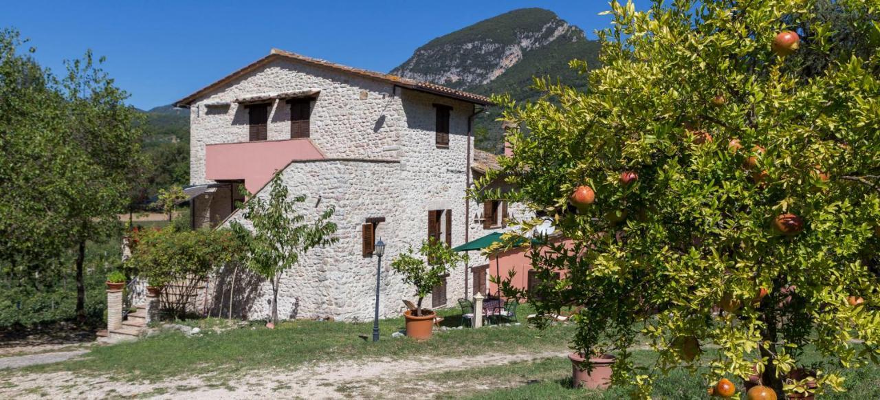 Agriturismo I Melograni Ferentillo Εξωτερικό φωτογραφία