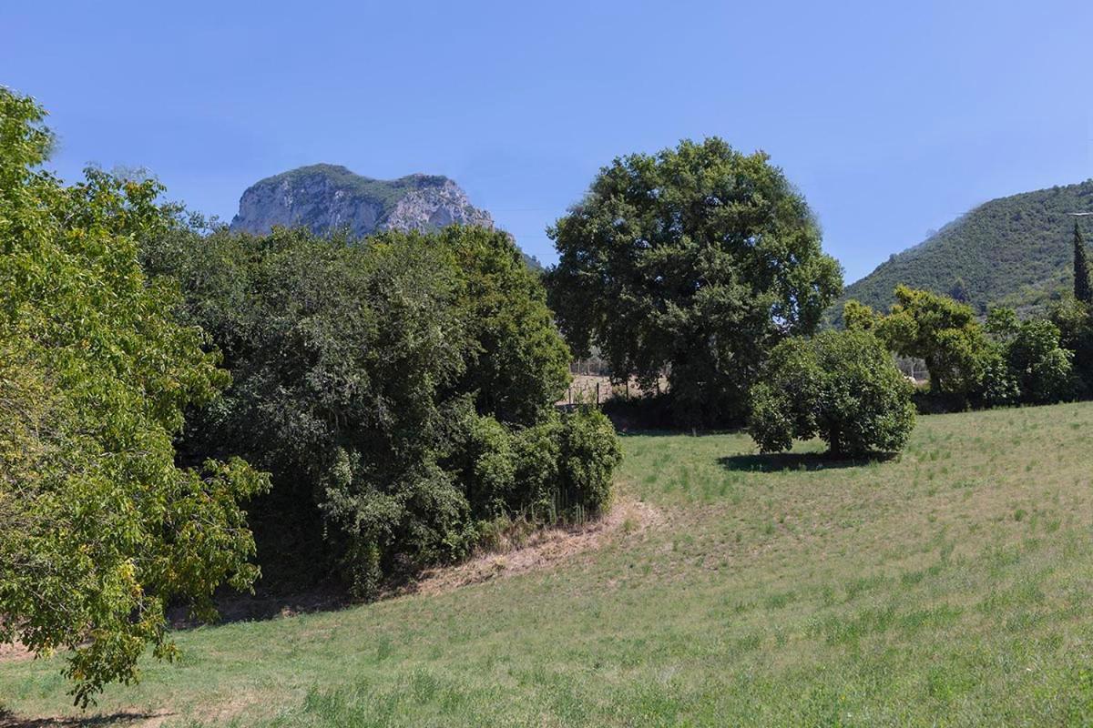 Agriturismo I Melograni Ferentillo Εξωτερικό φωτογραφία