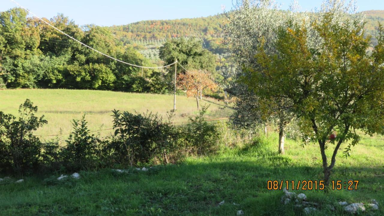 Agriturismo I Melograni Ferentillo Εξωτερικό φωτογραφία