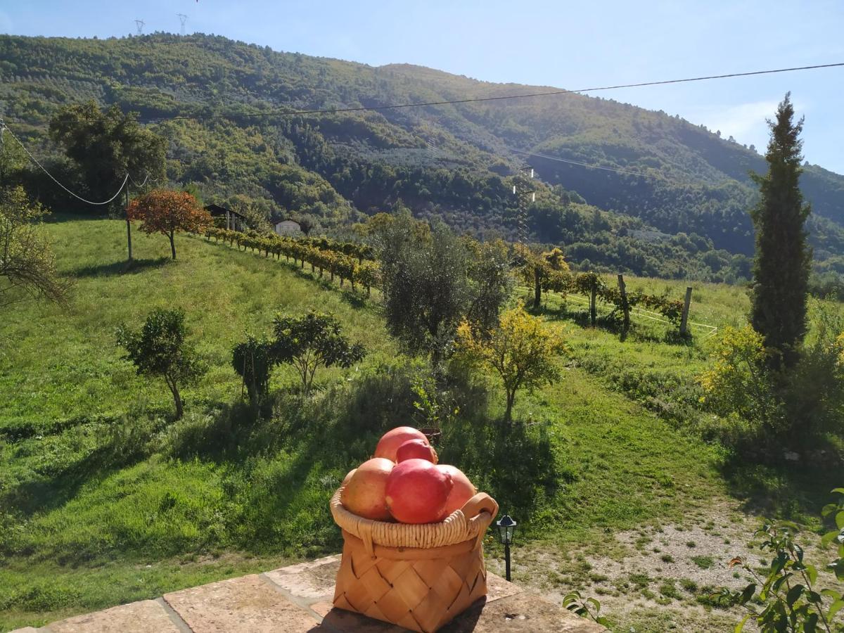 Agriturismo I Melograni Ferentillo Εξωτερικό φωτογραφία
