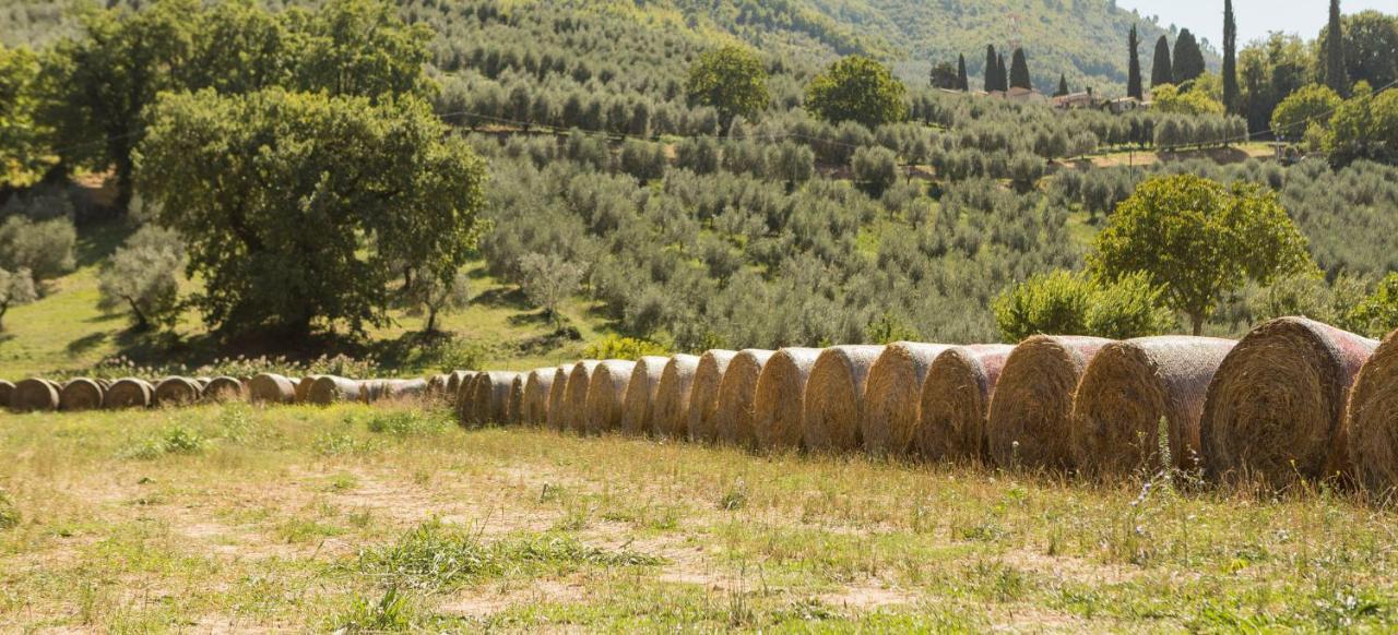 Agriturismo I Melograni Ferentillo Εξωτερικό φωτογραφία
