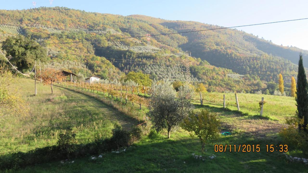 Agriturismo I Melograni Ferentillo Εξωτερικό φωτογραφία