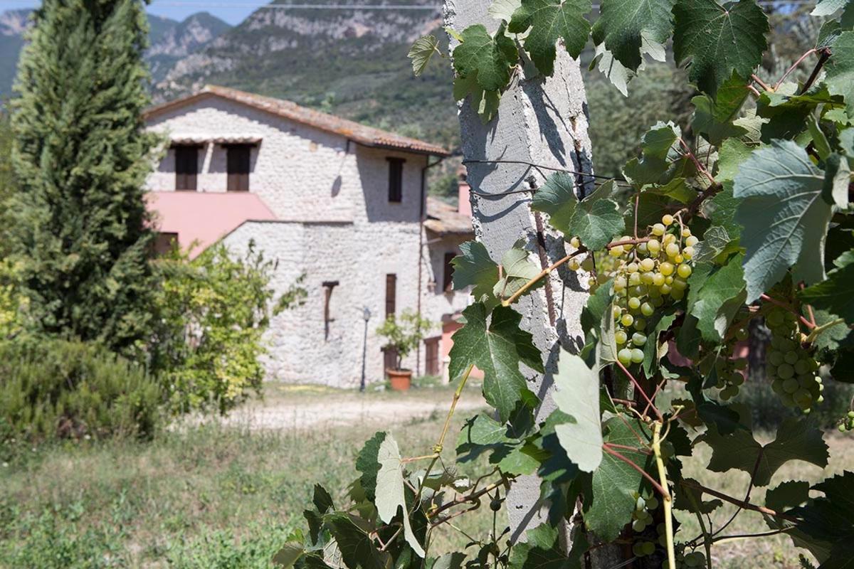 Agriturismo I Melograni Ferentillo Εξωτερικό φωτογραφία