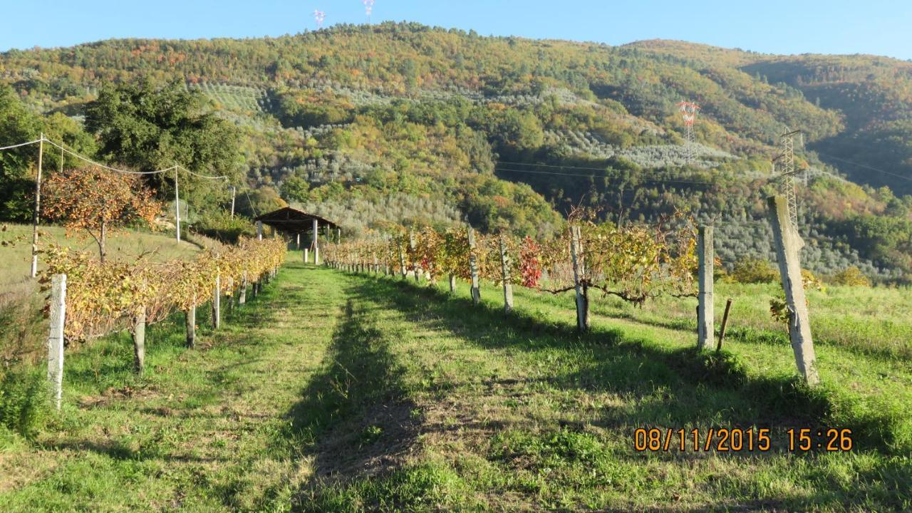 Agriturismo I Melograni Ferentillo Εξωτερικό φωτογραφία