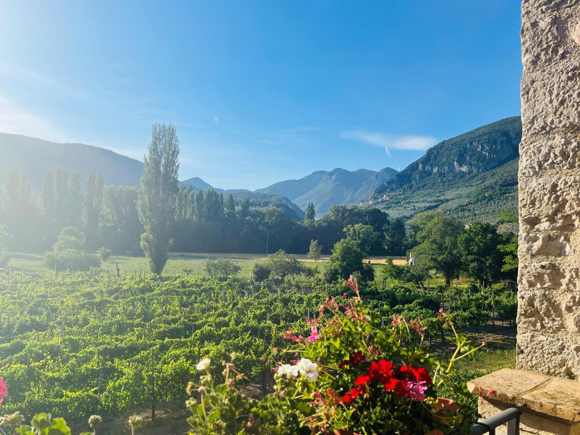 Agriturismo I Melograni Ferentillo Εξωτερικό φωτογραφία